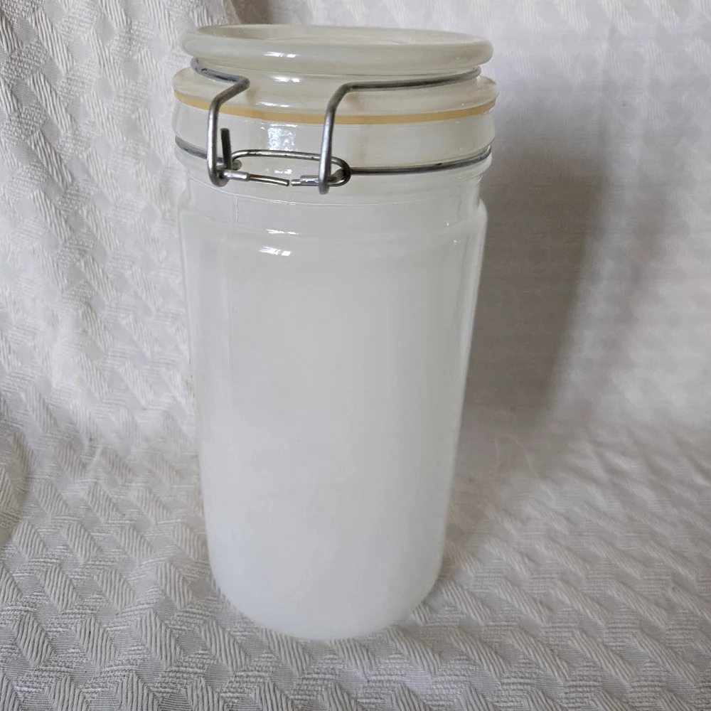Glass Jar with Tree Design Frosted With Metal Latch